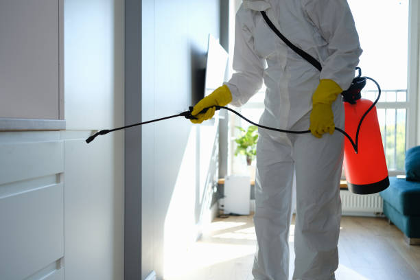 Best Crawl Space Mold Removal  in Terrace Park, OH