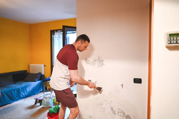 Best Commercial Mold Removal  in Terrace Park, OH